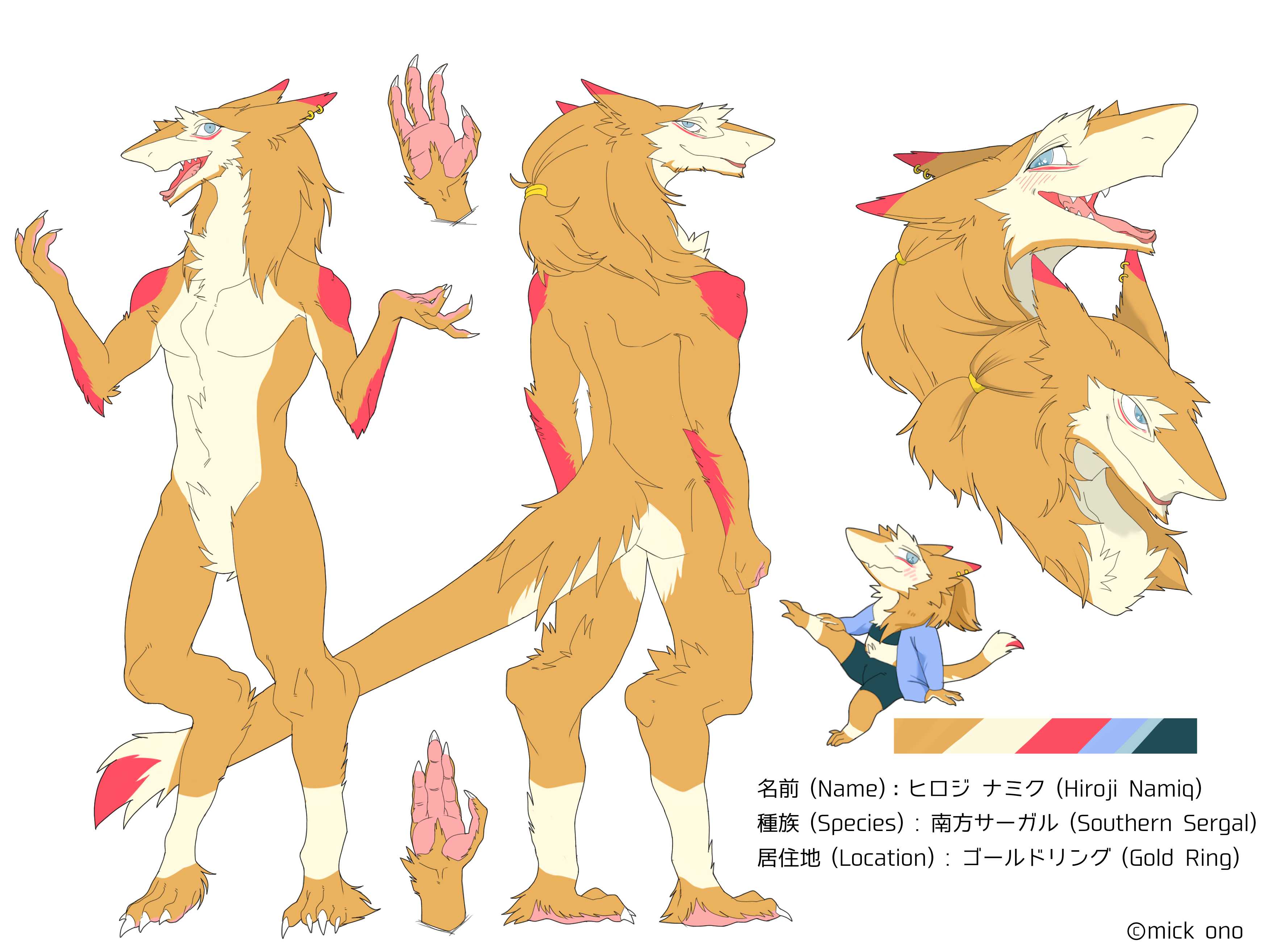 A referenece sheet for a southern sergal. He has golden brown fur with white belly and highlights. Magenta streek under blue eyes and on ear tips. Gold earing. Quite flirty. Text in english and japanese.